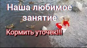 Прогулка, кормим уток. Сортавала Центр