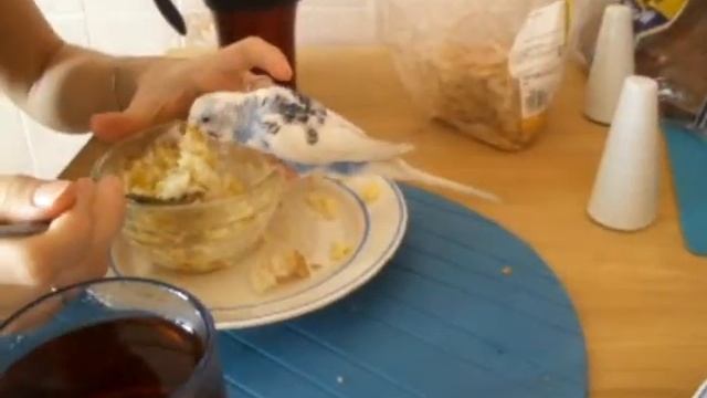 Крошка.wmv смотреть онлайн