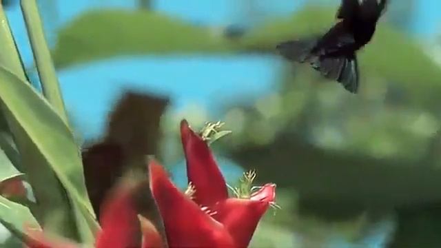 особенности природы смотреть онлайн