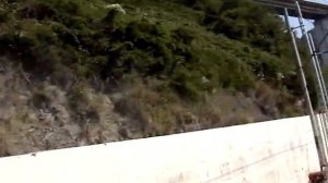 Мост в районе Чемитоквадже, вид из окна поезда.