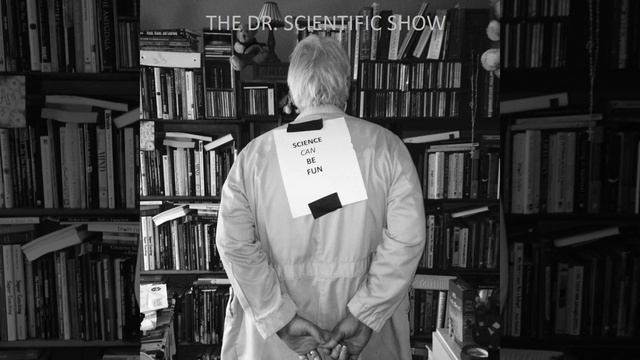 Show 5: Taking Pictures with Your Camera смотреть онлайн