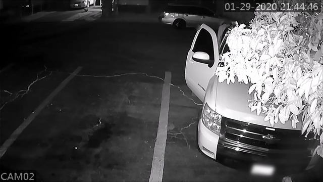 Neighbor's guests caught on CCTV camera peeing on my house! смотреть онлайн