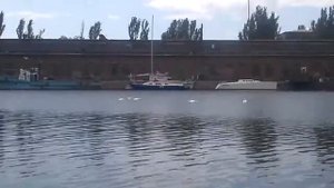Лебеди в Мариуполе
