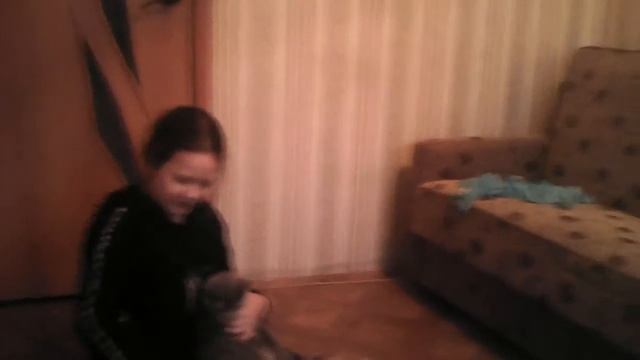 я в гостях у бешеные кошки смотреть онлайн