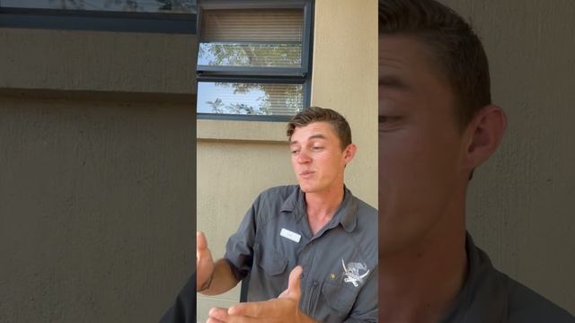 A Dazzle of Zebra Chase a Leopard Up a Tree! смотреть онлайн