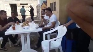 Соревнования голубей в Баку! Алиев Акпер!
