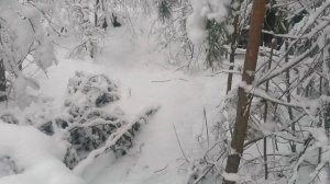 Идём к реке, пробираюсь через завалы.mp4