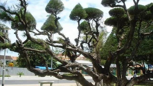 Nha Trang 2010 Vietnam смотреть онлайн