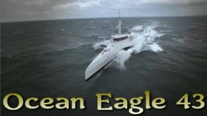 Ocean Eagle 43 - малозаметное боевое патрульное судно