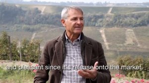 Marchesi di Barolo Coste di Rose Vineyard