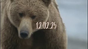 12_02_25_Не_можете_научим,_не_хотите_заставим,_будете_сопротивляться