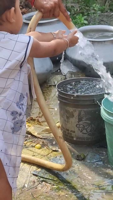 #shorts смотреть онлайн