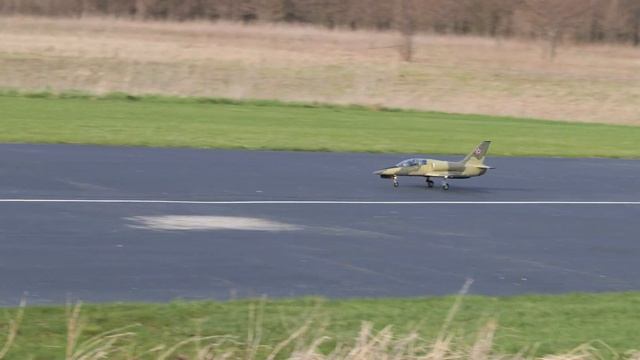 Freewing L39 Albatros Short Video смотреть онлайн