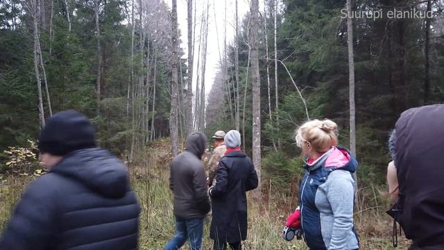 Ringkäik Merekindluse metsas 14.11.2020 смотреть онлайн