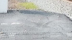 Four Old CSX Engines Pull Four New Engines Through Marietta Georgia