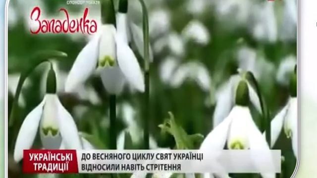 Літературне читання (3 клас).Тема уроку «Летіть до дому, пташенята «Пташок викликаю з далекого краю