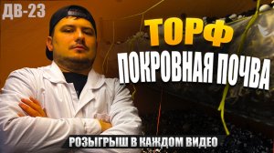 РАБОТА НА ГРИБНОЙ ФЕРМЕ | БИЗНЕС В ПОДВАЛЕ | ДВ 23