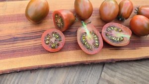 Горшочный карлик, сорт томата "Tumbling Tiger" 🐅 Кувыркающийся Тигр 🍅 Коктейлтный отличный помидор