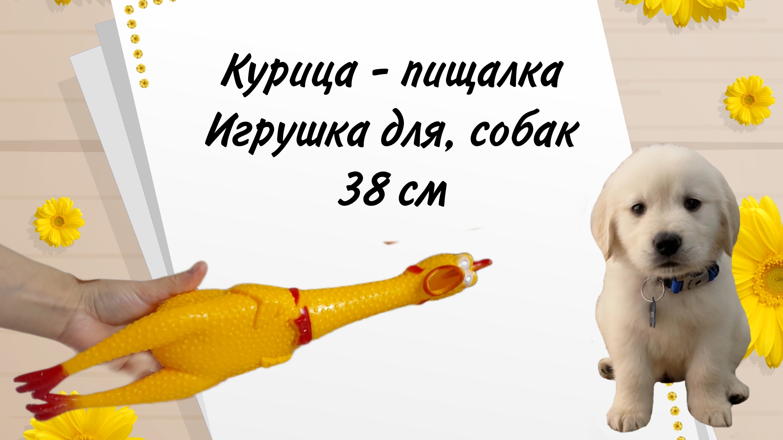 Курица - пищалка, яркая и забавная игркшка для собак, длина 38 см