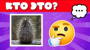 УГАДАЙ ЖИВОТНОЕ ПО ФОТО ВИД СЗАДИ