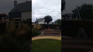 Слива Писарди