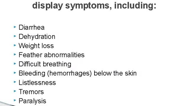 Parrot Diseases смотреть онлайн