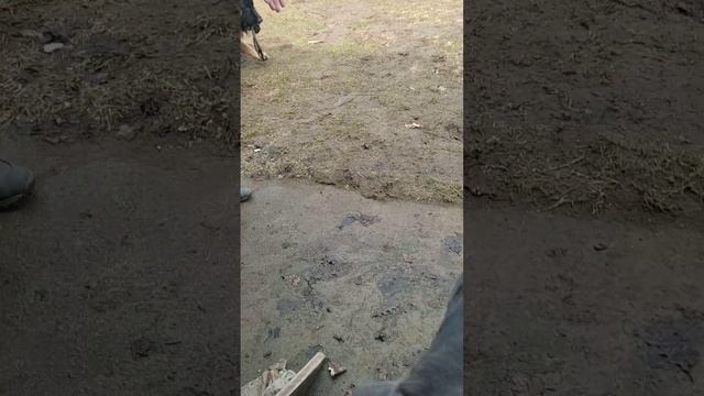 Грозные охранники 🤣🤣🤣 смотреть онлайн