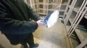 В Гостях у Юры Вовчука!!!