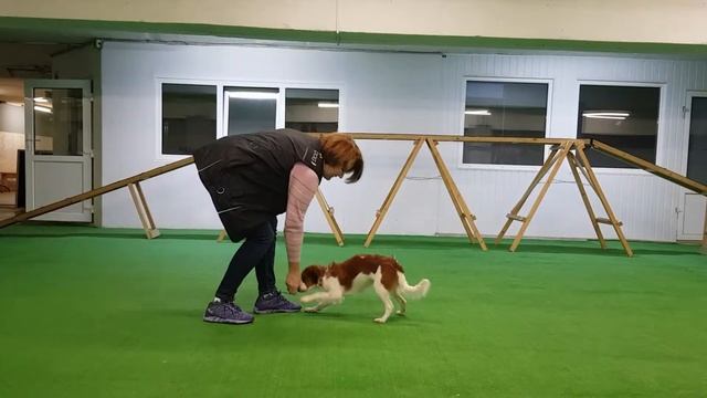 Койкерхондье учит трюк ПОКЛОН - 2 смотреть онлайн