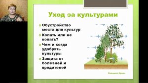 Выращиваем без полива  Опыт 2021 года. Кольцова Ирина