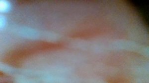 Песенка тётушки Ганимед(Как лететь с Земли до звезд,как поймать лису(м/ф"Три толстяка"(наброски)