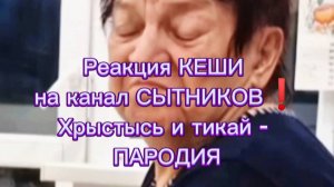 Хайпуша - Реакция КЕШИ на канал СЫТНИКОВ - Хрыстысь и тикай, чисто - ПАРОДИЯ