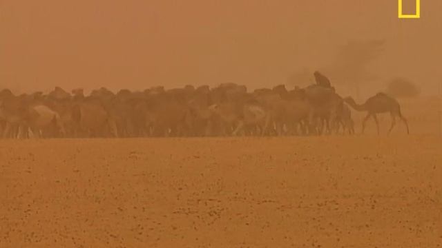 Salt Mines of Mali | National Geographic смотреть онлайн