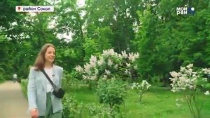 Москва район Сокол.