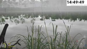 Аккаунт ПОПЛАВОЧНИКА - 5 серия. Страх, боль, слезы ● Русская Рыбалка 4 | РР4