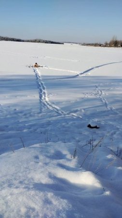 23февраля,утро.Моржевание,более подробно в длином видео 23.02.25