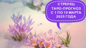 СТРЕЛЕЦ ТАРО-ПРОГНОЗ С 1 ПО 10 МАРТА 2025 ГОДА