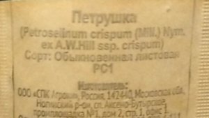 Петрушка в квартире 24.02.