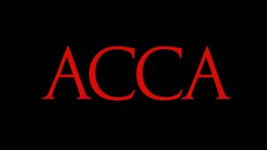 DJ D.V.A. - АССА!!! (Full HD Video Mix)