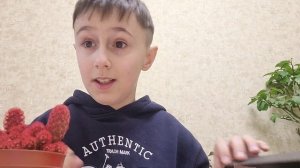 игрушки из standoff 2 из набора GOWOOD.