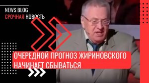 Очередной прогноз Жириновского начинает сбываться