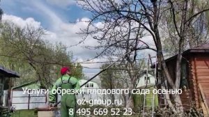 Услуги обрезки плодового сада осенью на даче. Выезд Агрономов по Москве и области. Звоните сейчас!