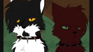 коты воители мааап