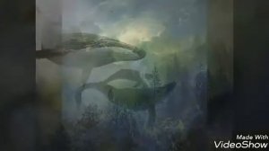 Летающие киты