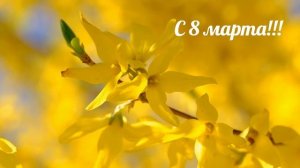 С  8 марта! (песня 1)