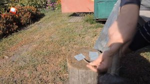 Пересаживаем клубнику.