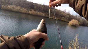 Рыбалка 🎣на спиннинг,окунь👍 радует поклевками!!!