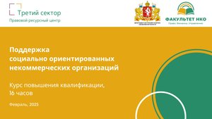 Поддержка СО НКО (вебинар 2)