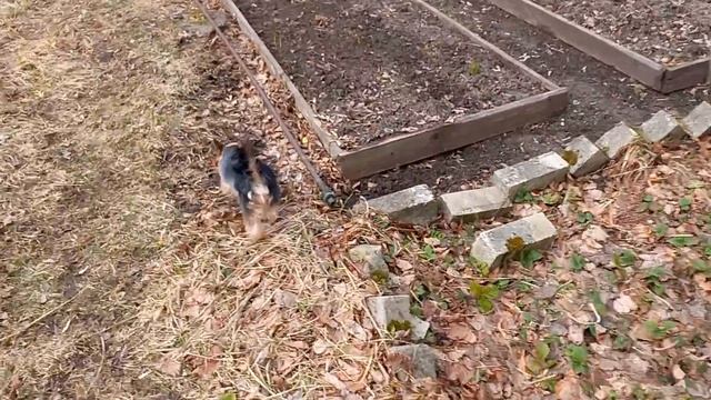 Непослушная девочка Фея смотреть онлайн