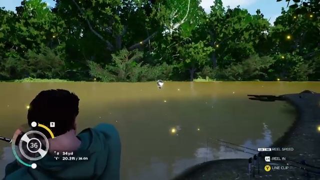 trying to catch big arapaima part 1 смотреть онлайн